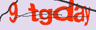 Captcha認証コード