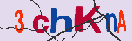 Captcha認証コード